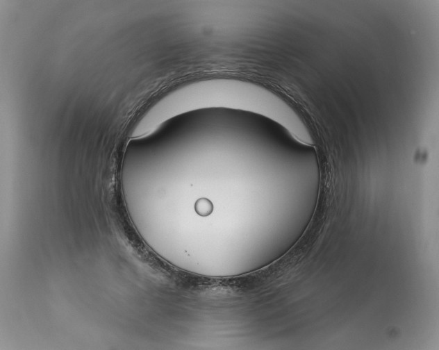 X0000113180593200909251444