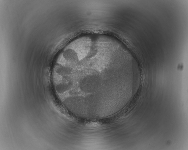 X0000113180594200909251443