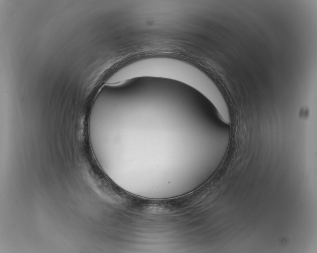 X0000113180596200909251443