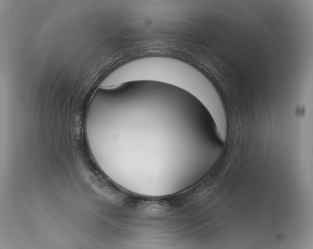 X0000113180597200909251443