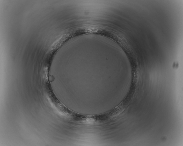 X0000113180598200909251443