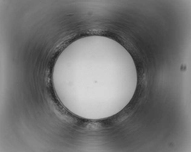 X0000113180599200909251443