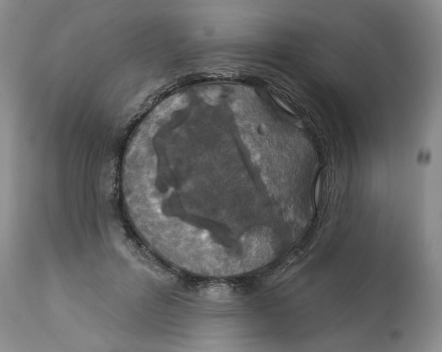 X0000113180600200909251443