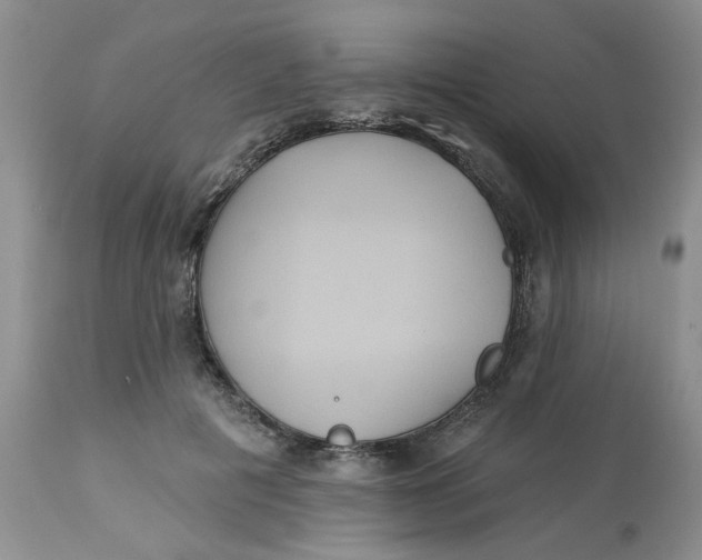 X0000113180601200909251443