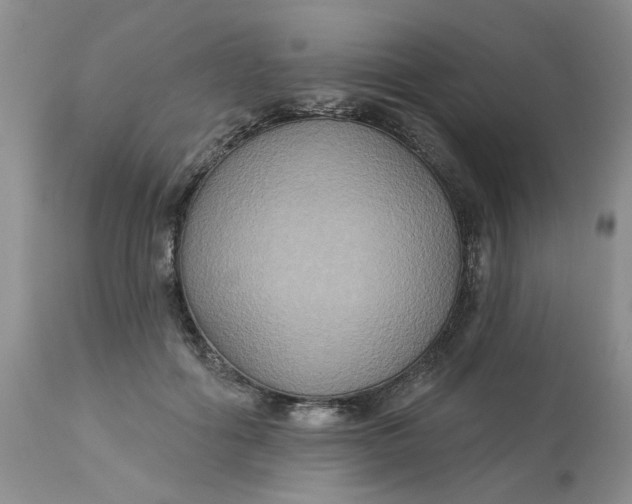 X0000113180602200909251443