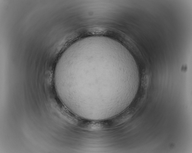 X0000113180604200909251443