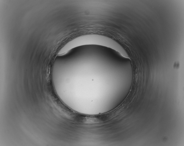 X0000113180605200909251443