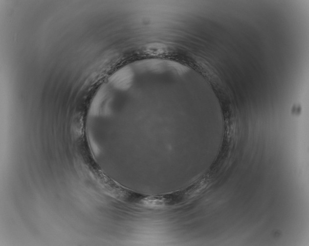 X0000113180606200909251443
