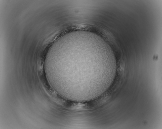 X0000113180607200909251443