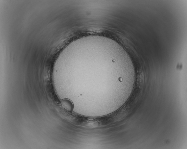X0000113180608200909251443