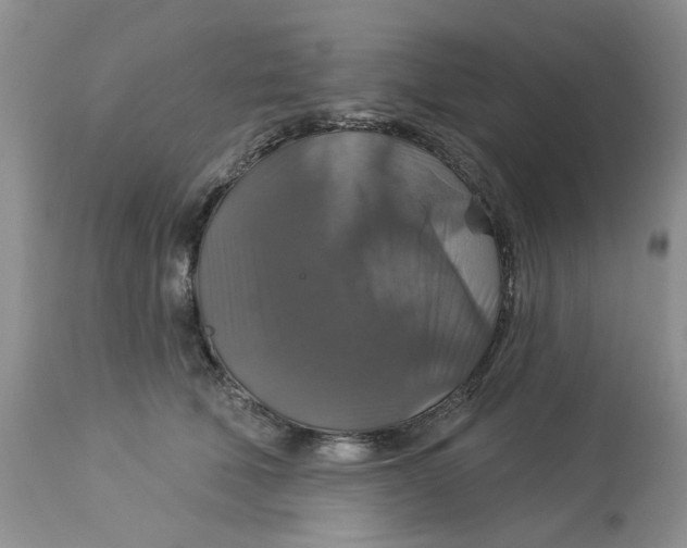 X0000113180610200909251443