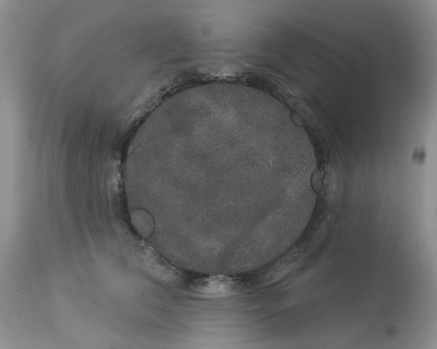 X0000113180612200909251443