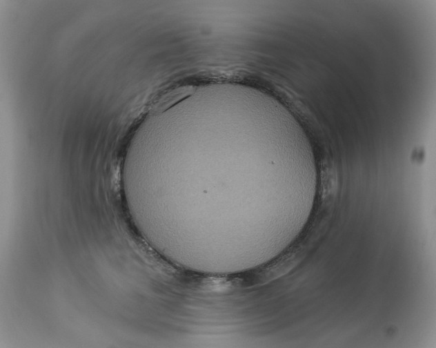 X0000113180613200909251443