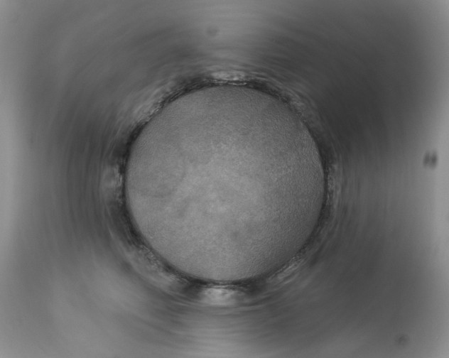X0000113180614200909251443