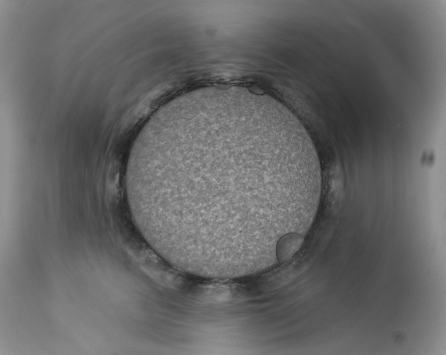 X0000113180615200909251443