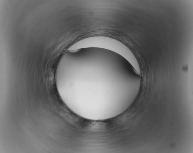 X0000113180617200909251443