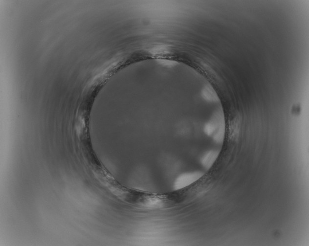 X0000113180618200909251443