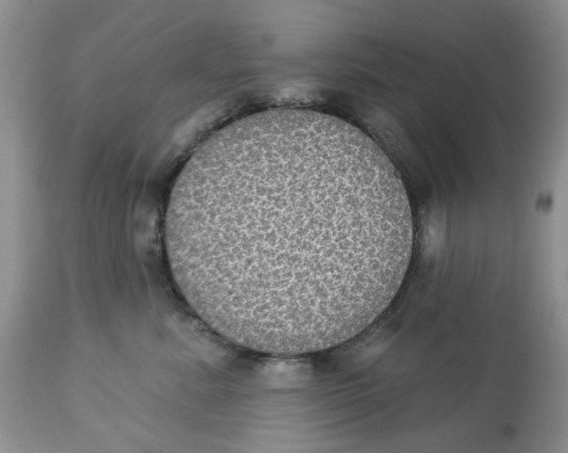 X0000113180619200909251443