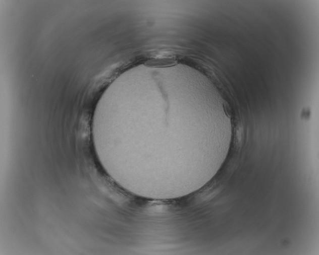 X0000113180620200909251443
