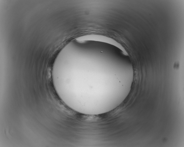 X0000113180621200909251443