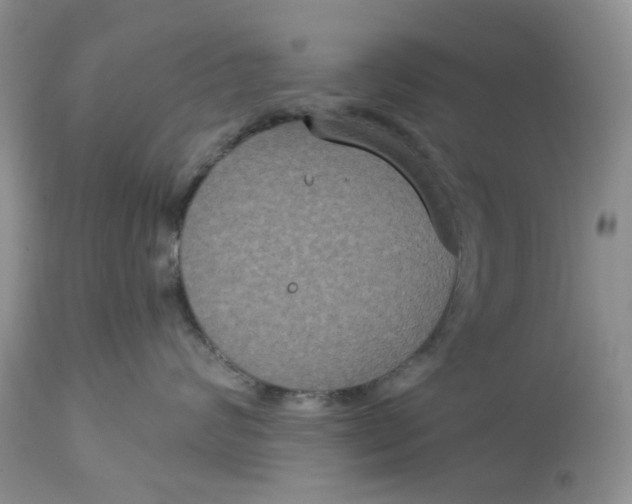 X0000113180624200909251443