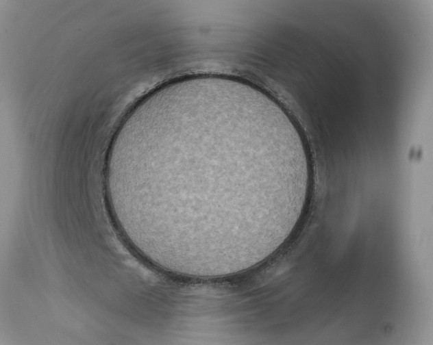X0000113180625200909251442