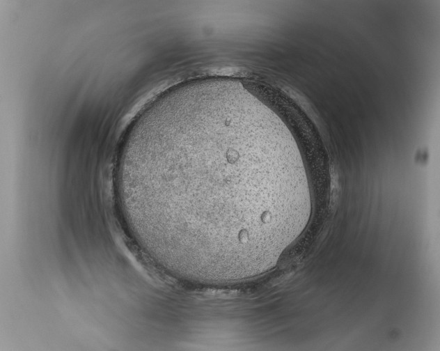 X0000113180626200909251442