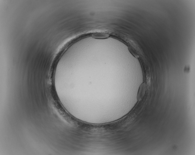 X0000113180628200909251442