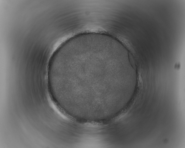 X0000113180630200909251442