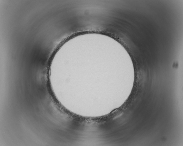 X0000113180632200909251442