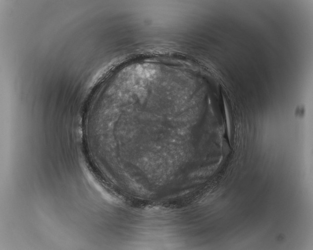 X0000113180634200909251442