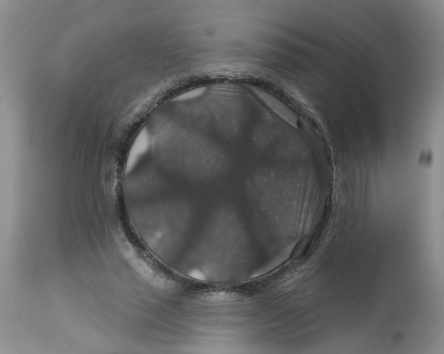 X0000113180637200909251442