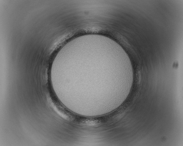 X0000113180638200909251443
