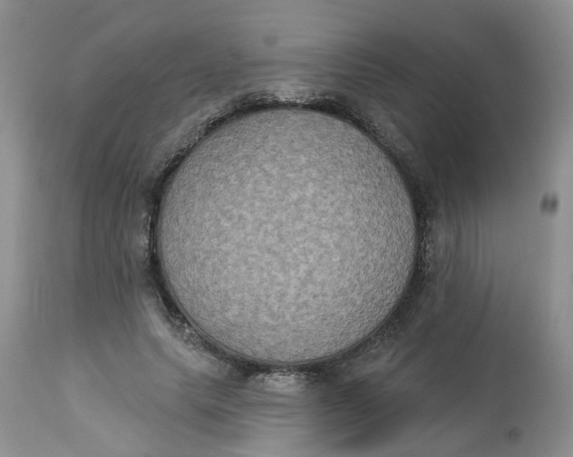 X0000113180639200909251443