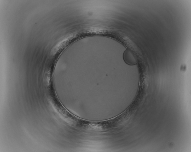 X0000113180640200909251443