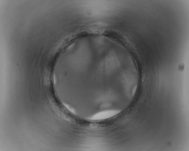 X0000113180641200909251443