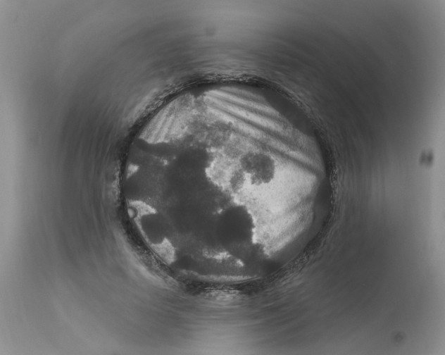 X0000113180642200909251443