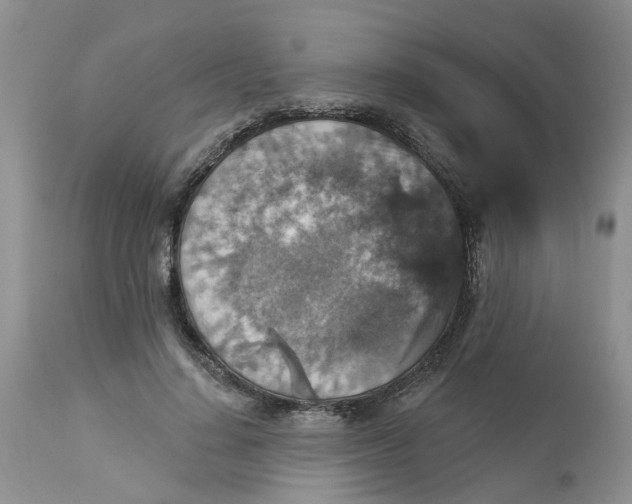 X0000113180644200909251443