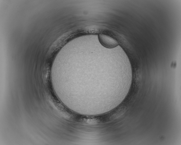 X0000113180645200909251443