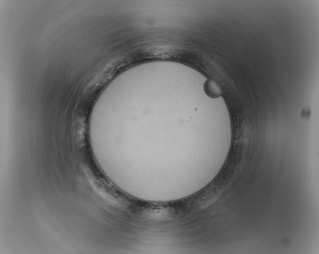 X0000113180646200909251443