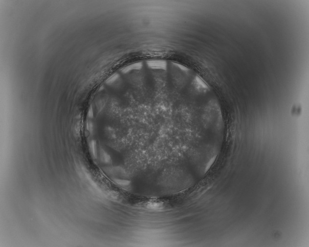 X0000113180647200909251443