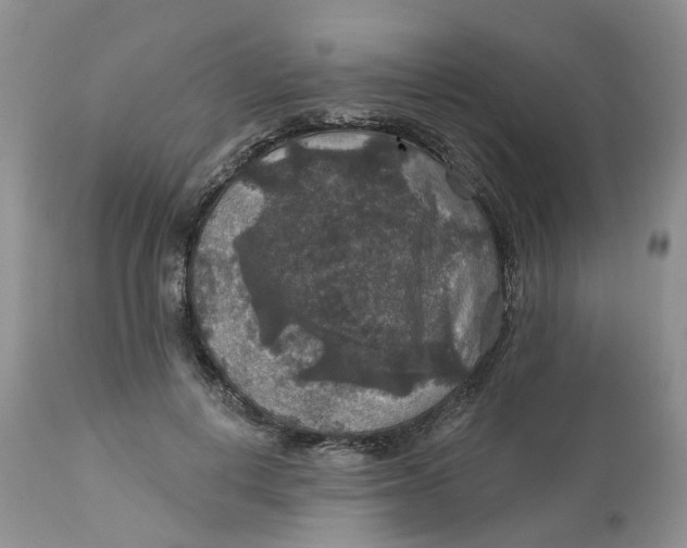 X0000113180648200909251443