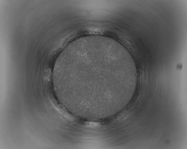 X0000113180649200909251443