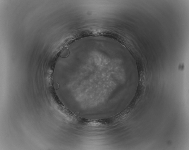 X0000113180650200909251443