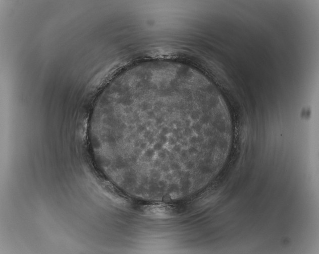 X0000113180652200909251443