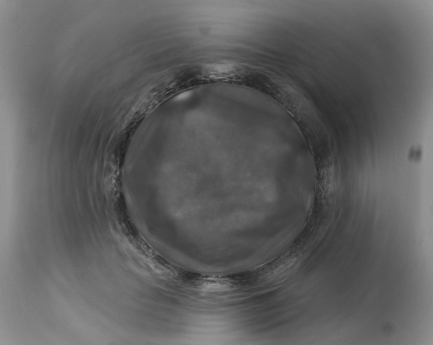 X0000113180653200909251443