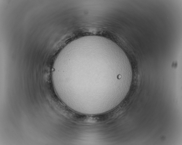 X0000113180656200909251443