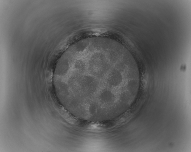X0000113180657200909251443