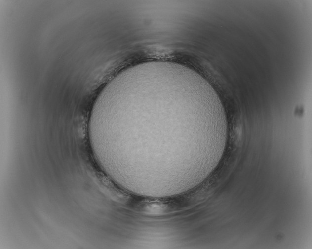 X0000113180658200909251443