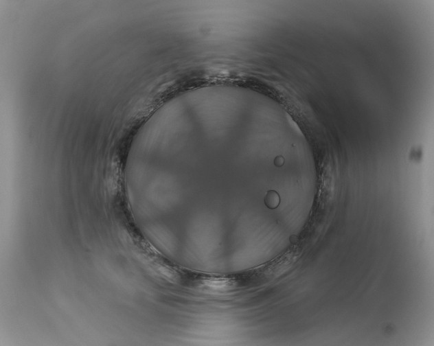X0000113180659200909251443